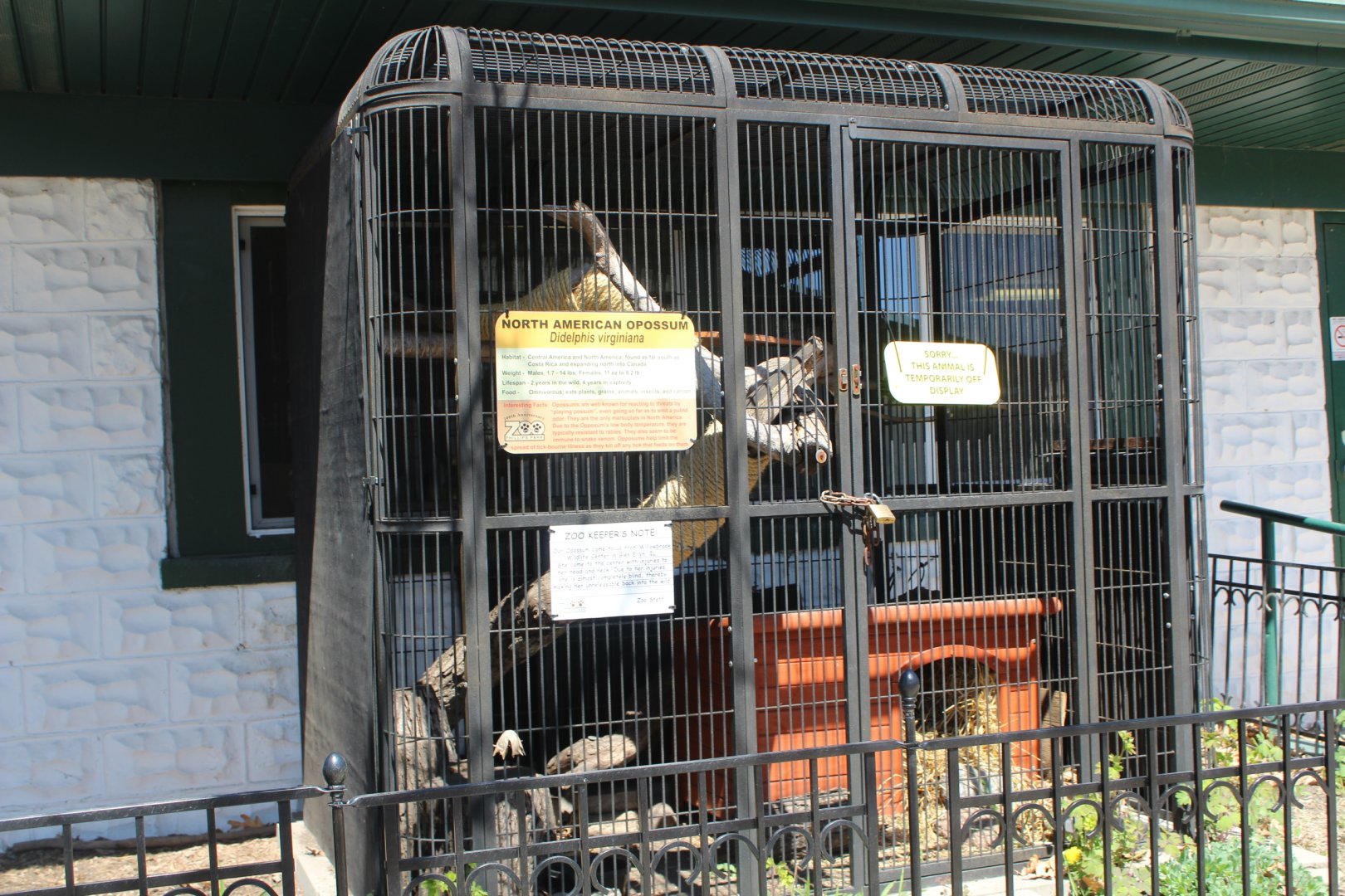 Opposum Cage (Thankfully Empty!)