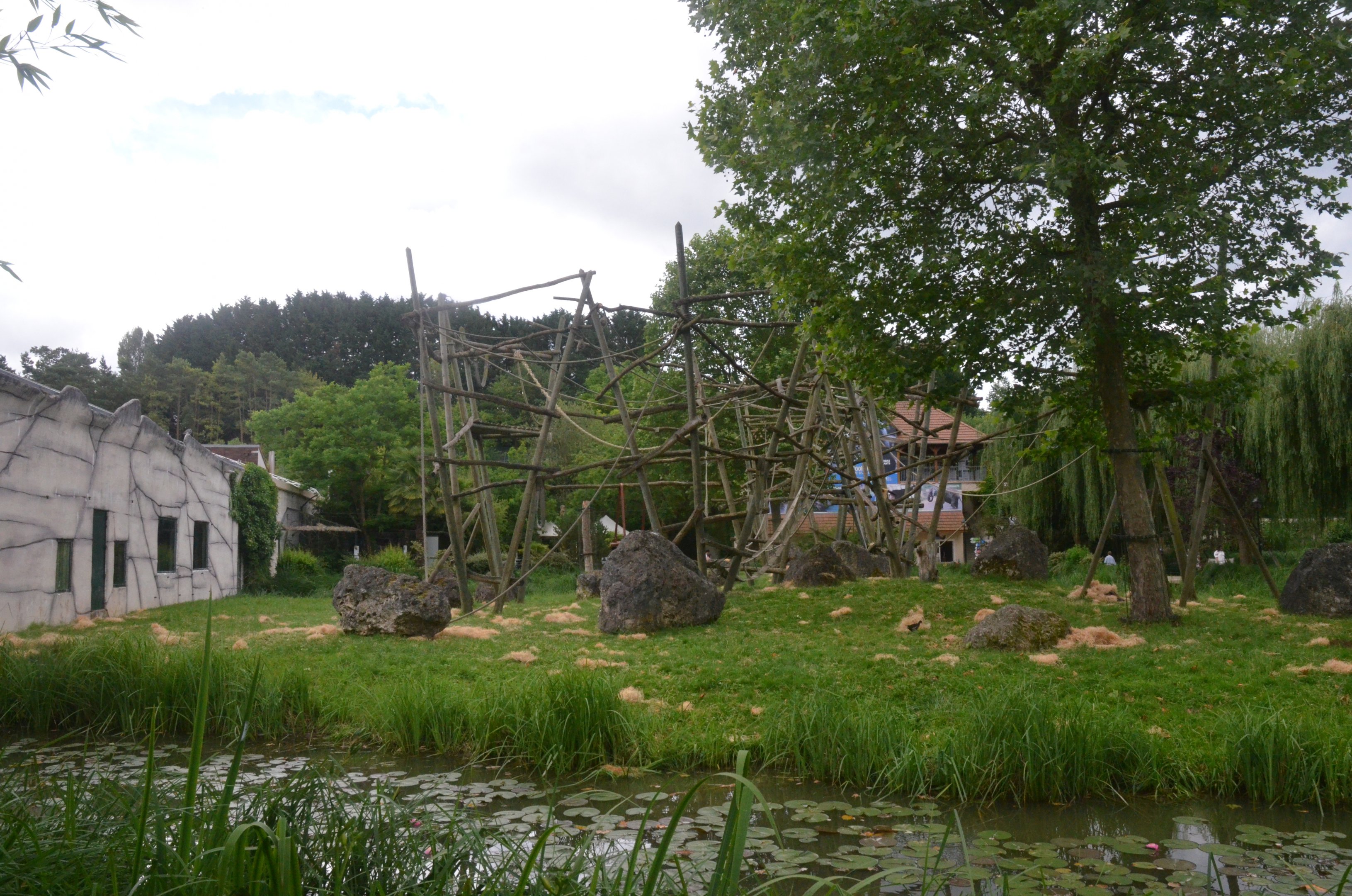 Orang and Gibbon Enclosure at Beauval, 12/06/18