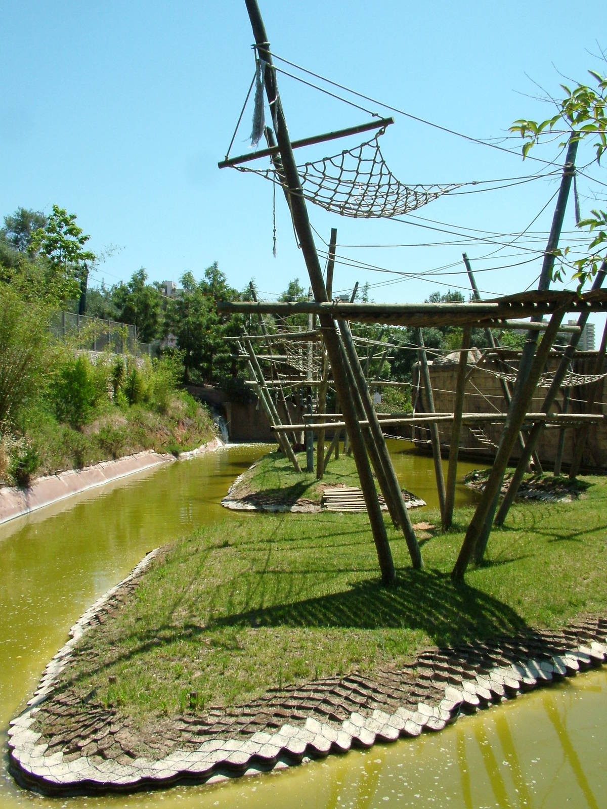 Orang and Gibbon Exhibit at Lisbon Zoo, 24/05/11