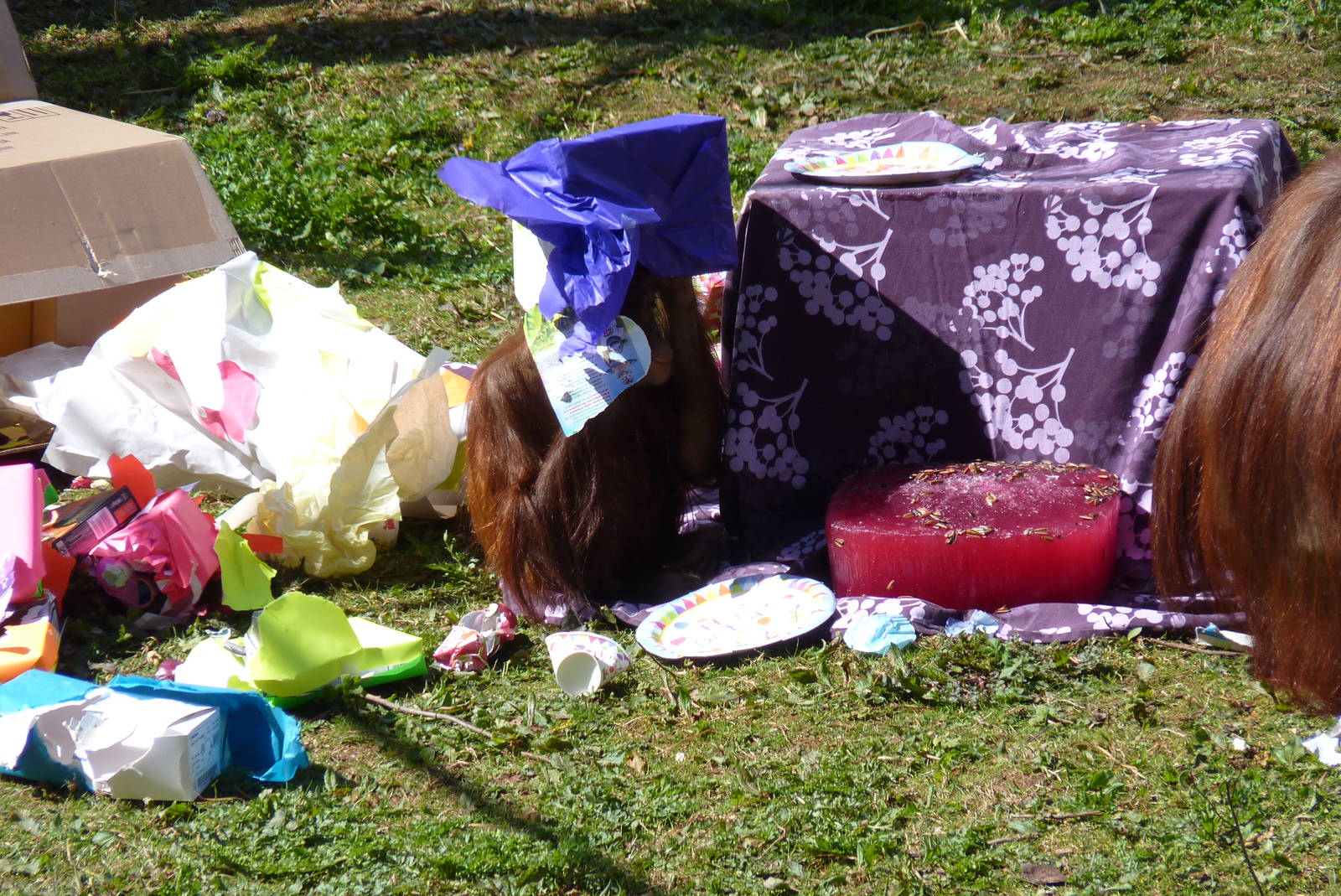 Orang birthday party, 11 April 2016