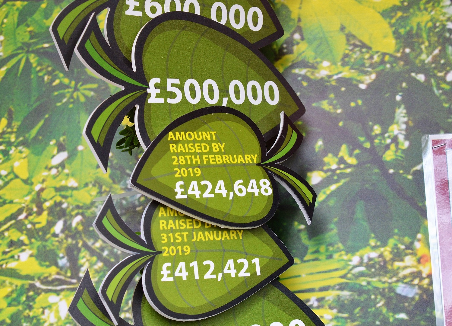 Orang enclosure fundraising