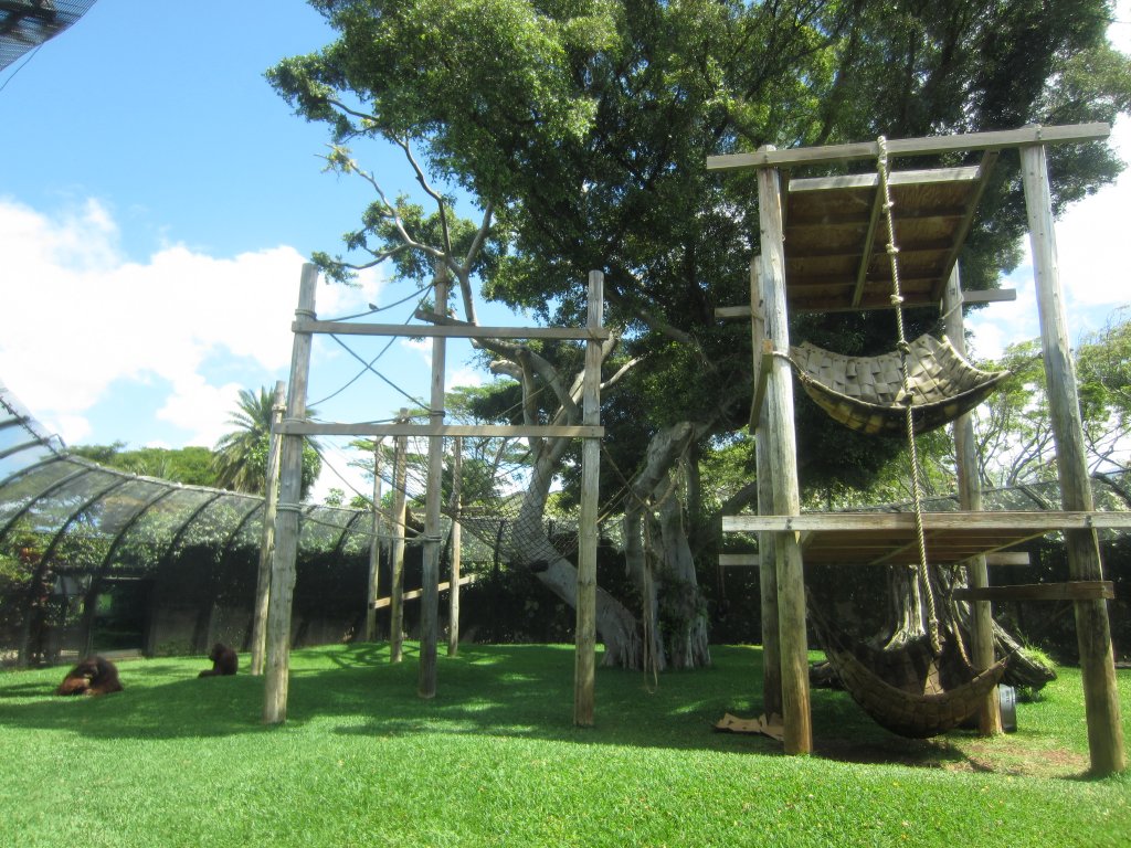 Orang enclosure