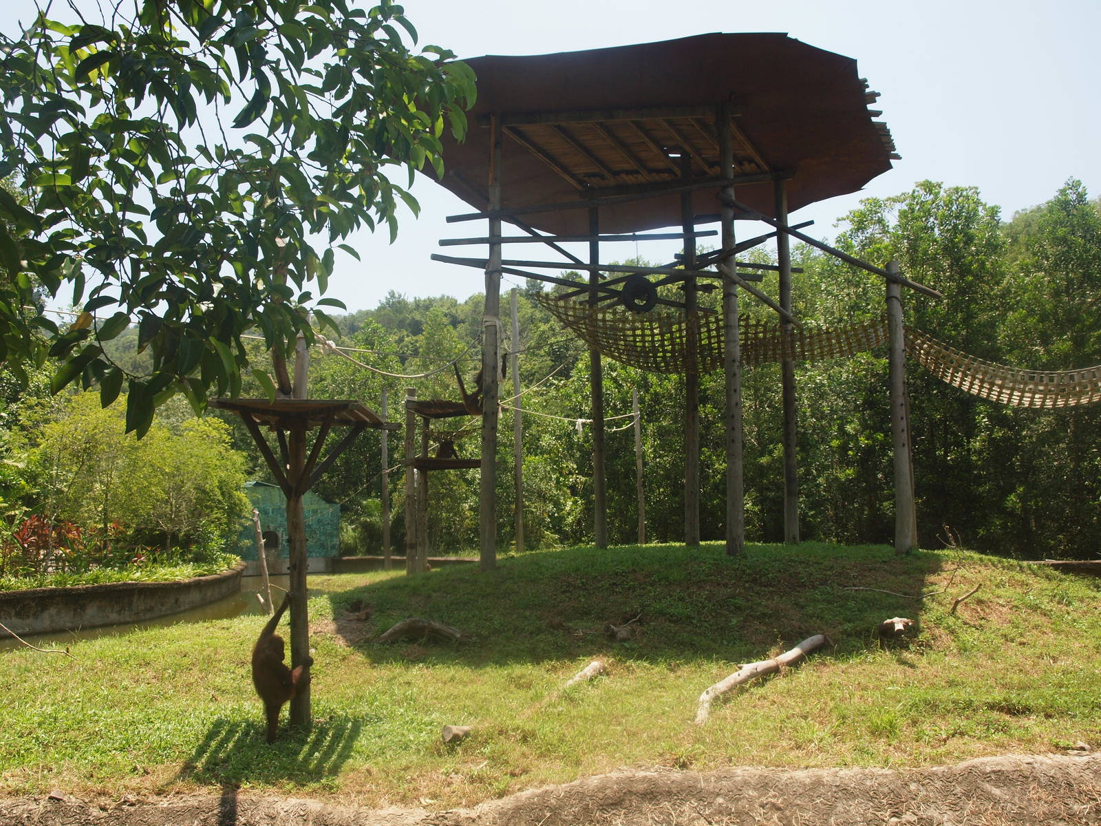 orang enclosure