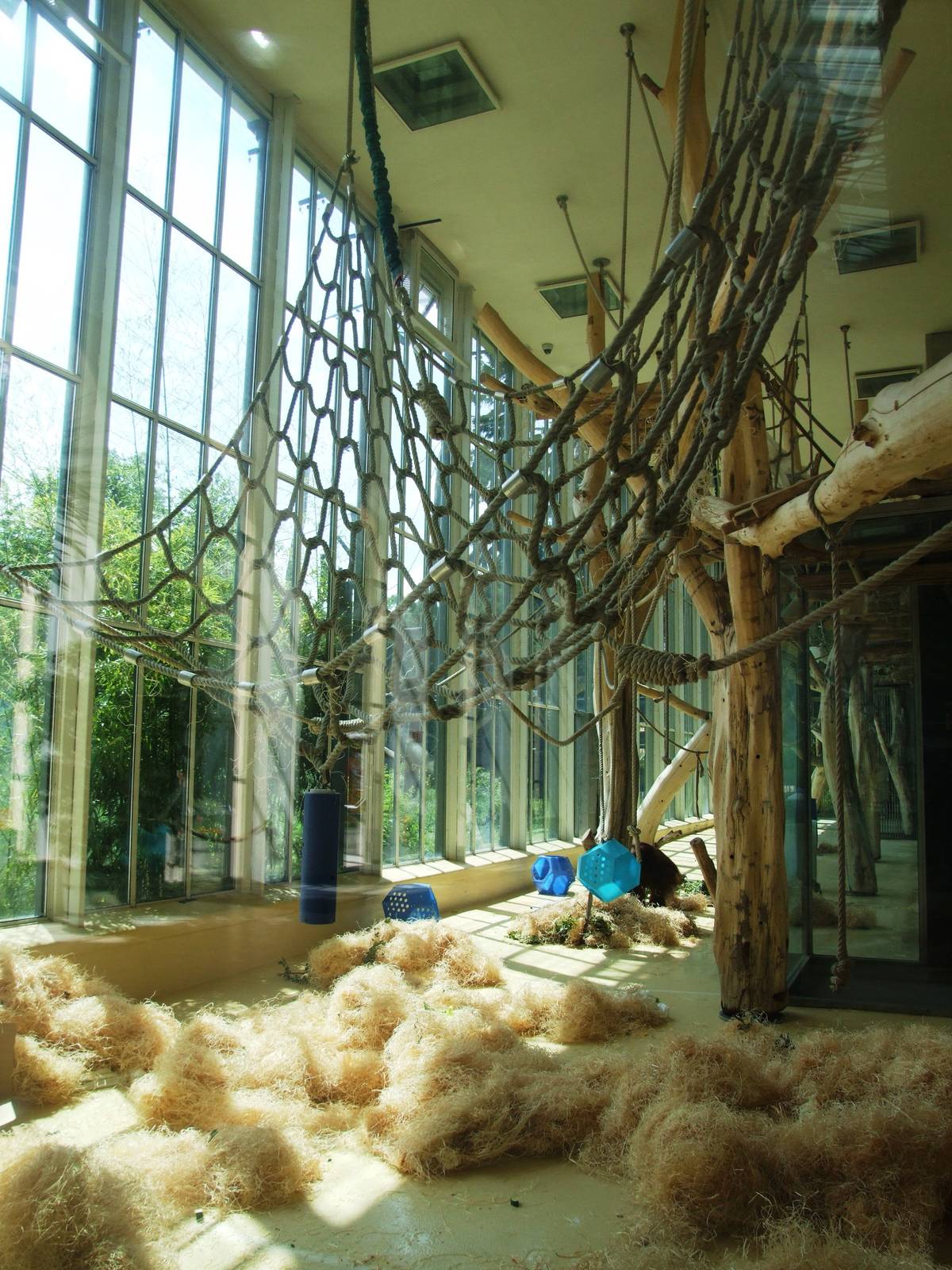 ORANG.erie Interior at Vienna, 14/06/13