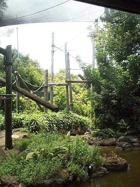 Orang exhibit 2001