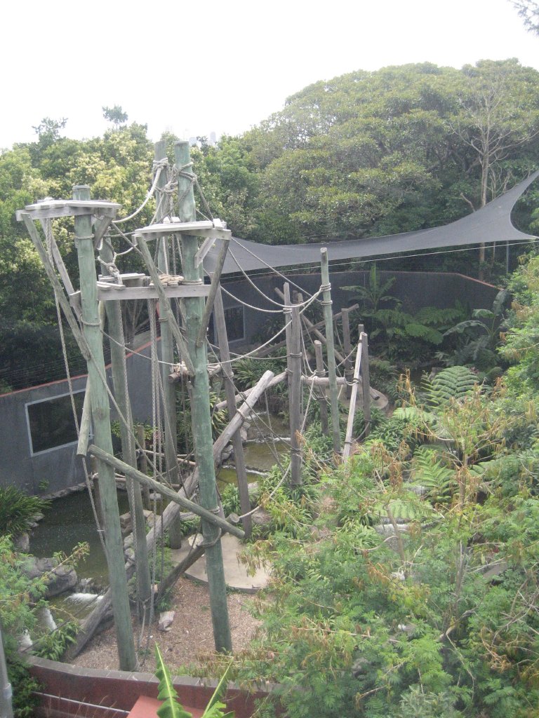 Orang exhibit from the cable-car