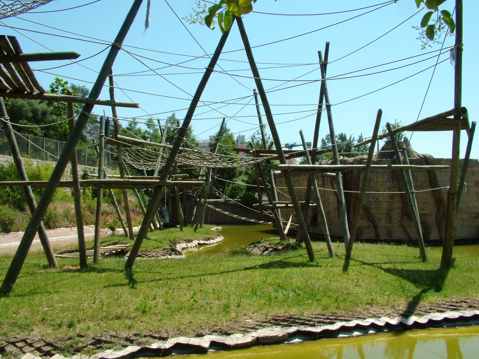 Orang/Gibbon Exhibit at Lisbon Zoo, 24/05/11