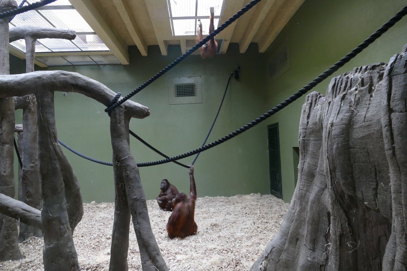 Orang house interior, September 2018