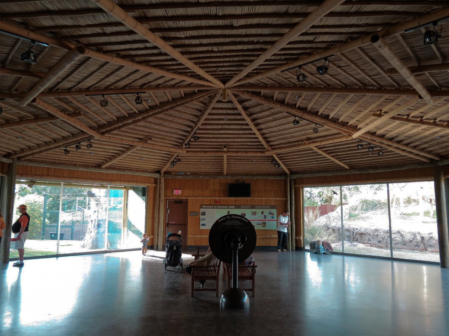 Orang-Hutan - Indoor Viewing Building Interior