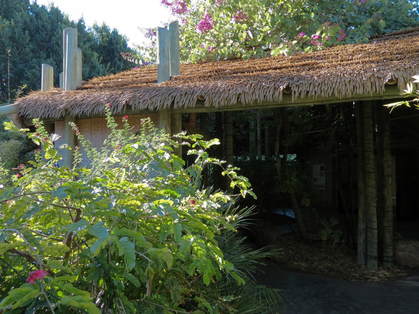 Orang-Hutan - Indoor Viewing Building - Porch