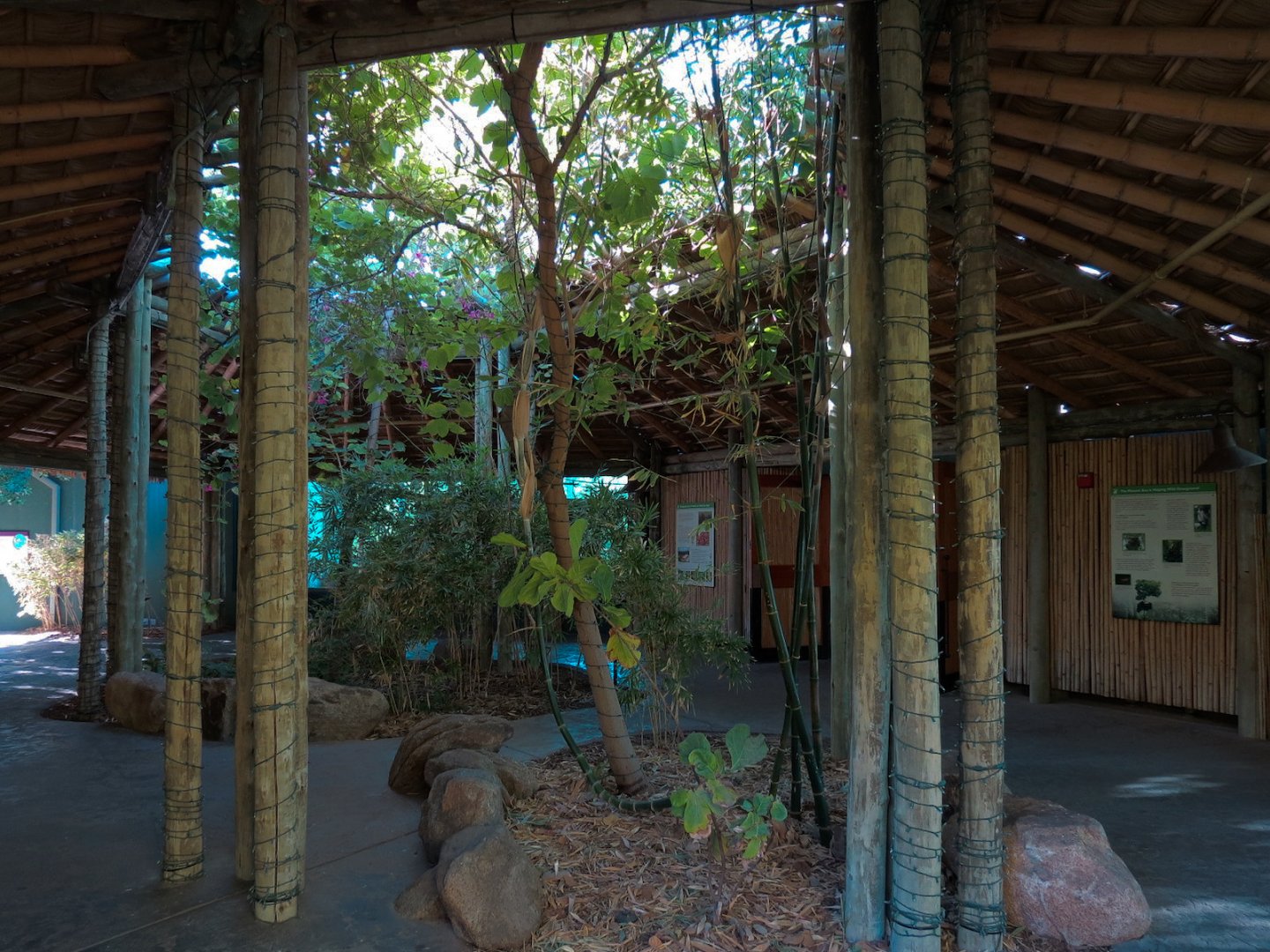 Orang-Hutan - Indoor Viewing Building - Porch