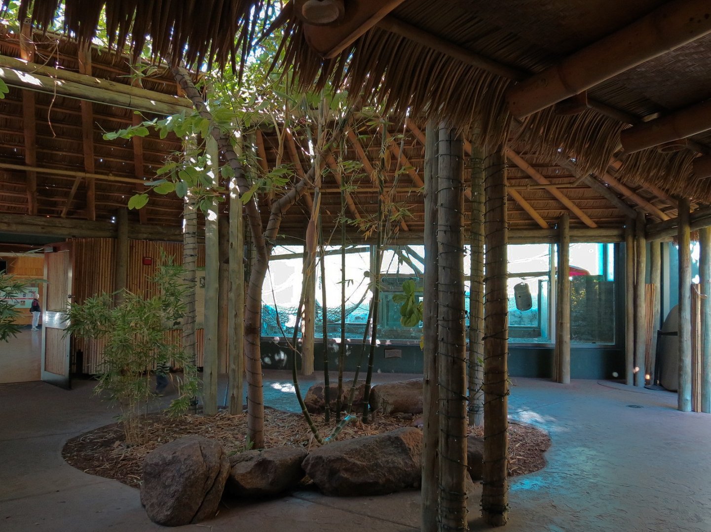 Orang-Hutan - Indoor Viewing Building - Porch