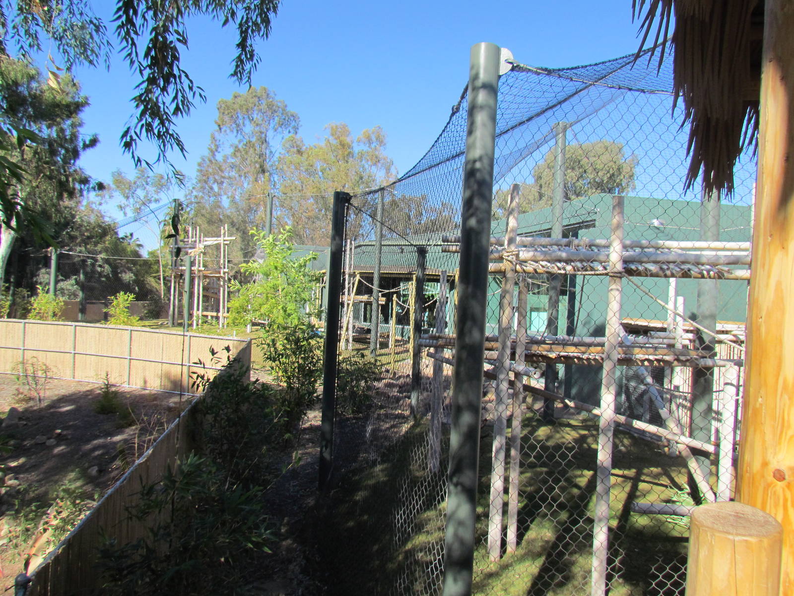 Orang Hutan: People of the Forest