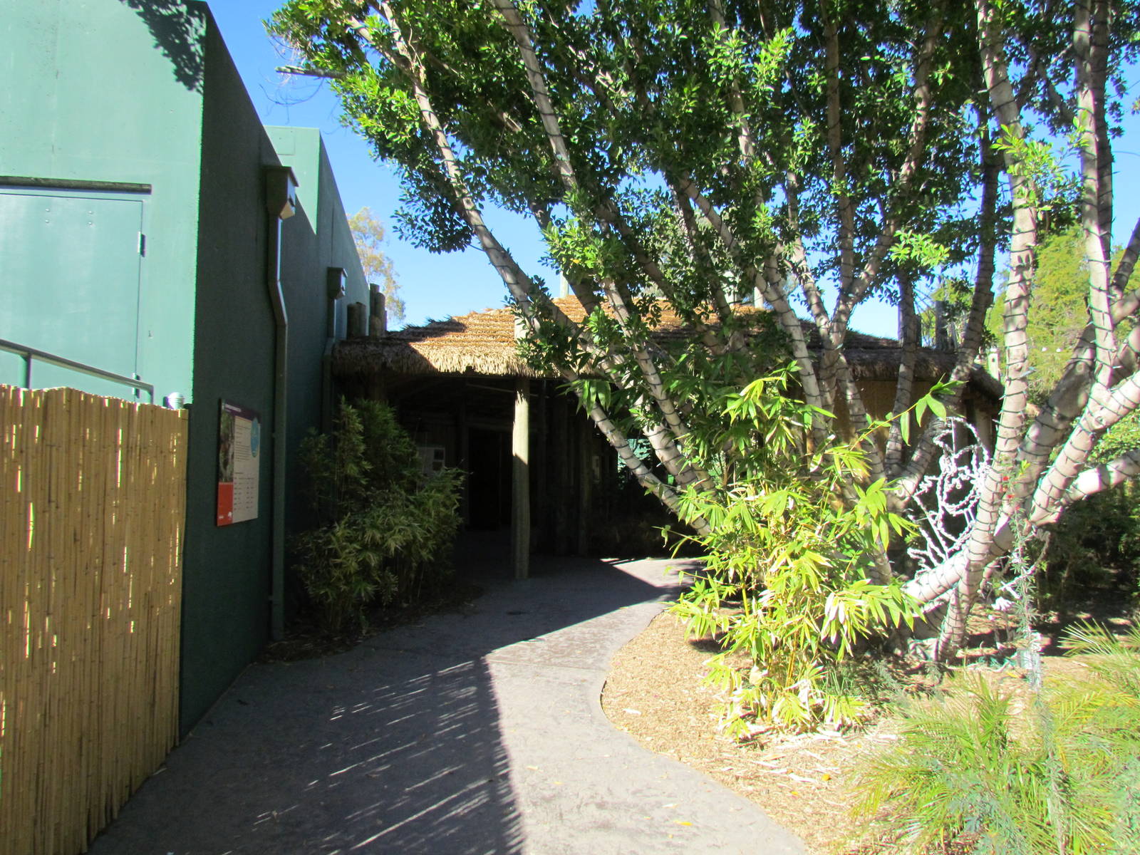 Orang Hutan: People of the Forest