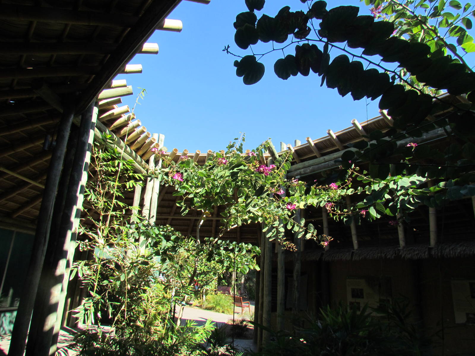 Orang Hutan: People of the Forest