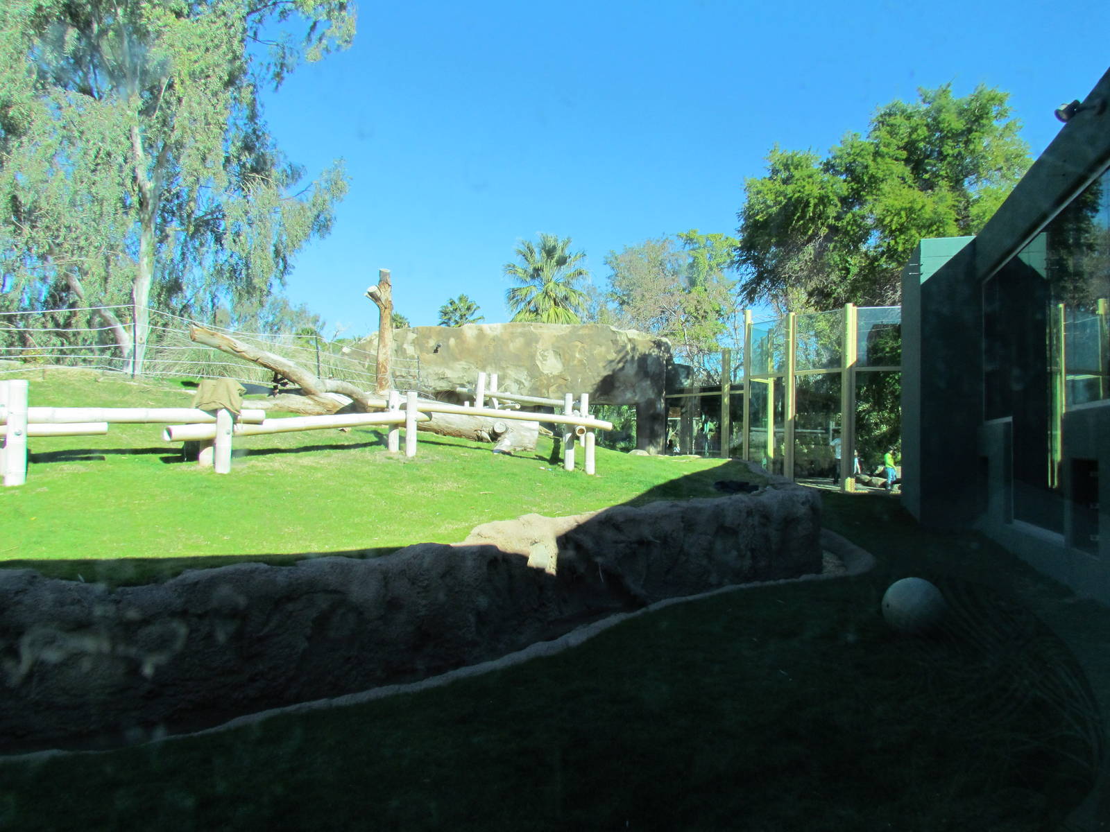 Orang Hutan: People of the Forest