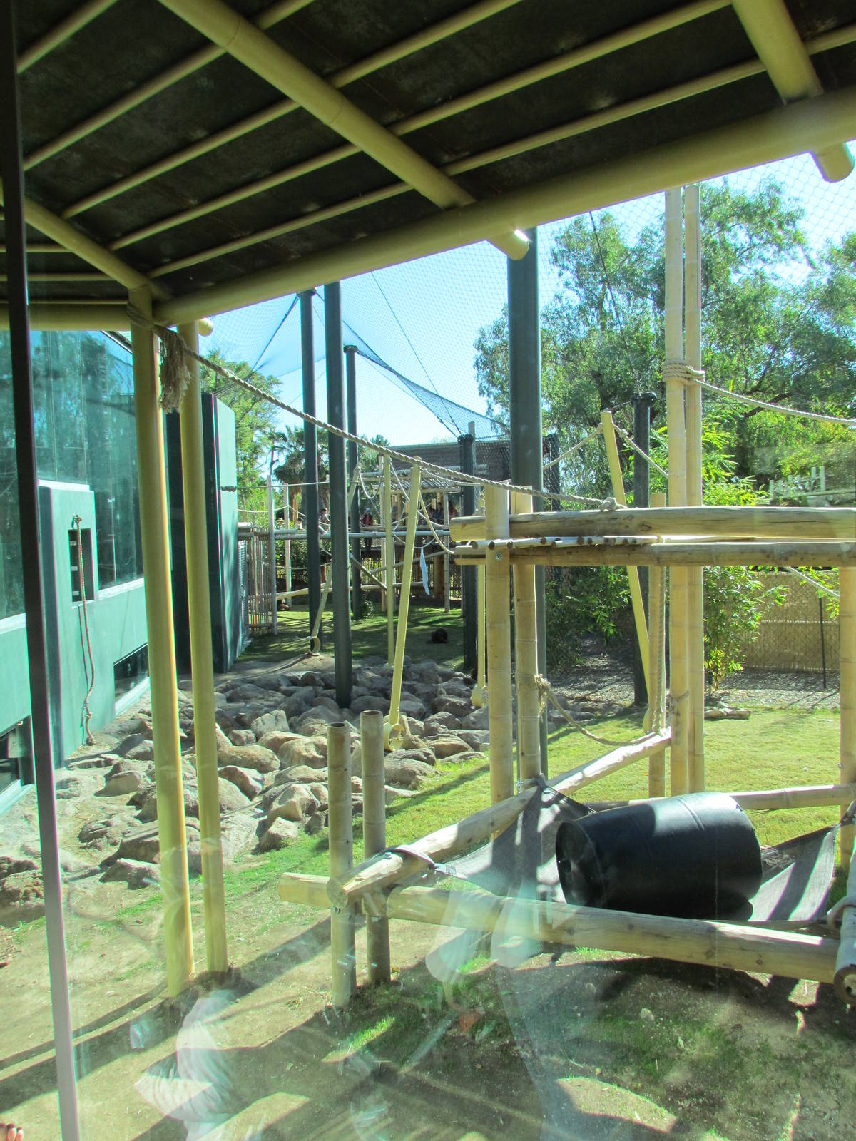 Orang Hutan: People of the Forest