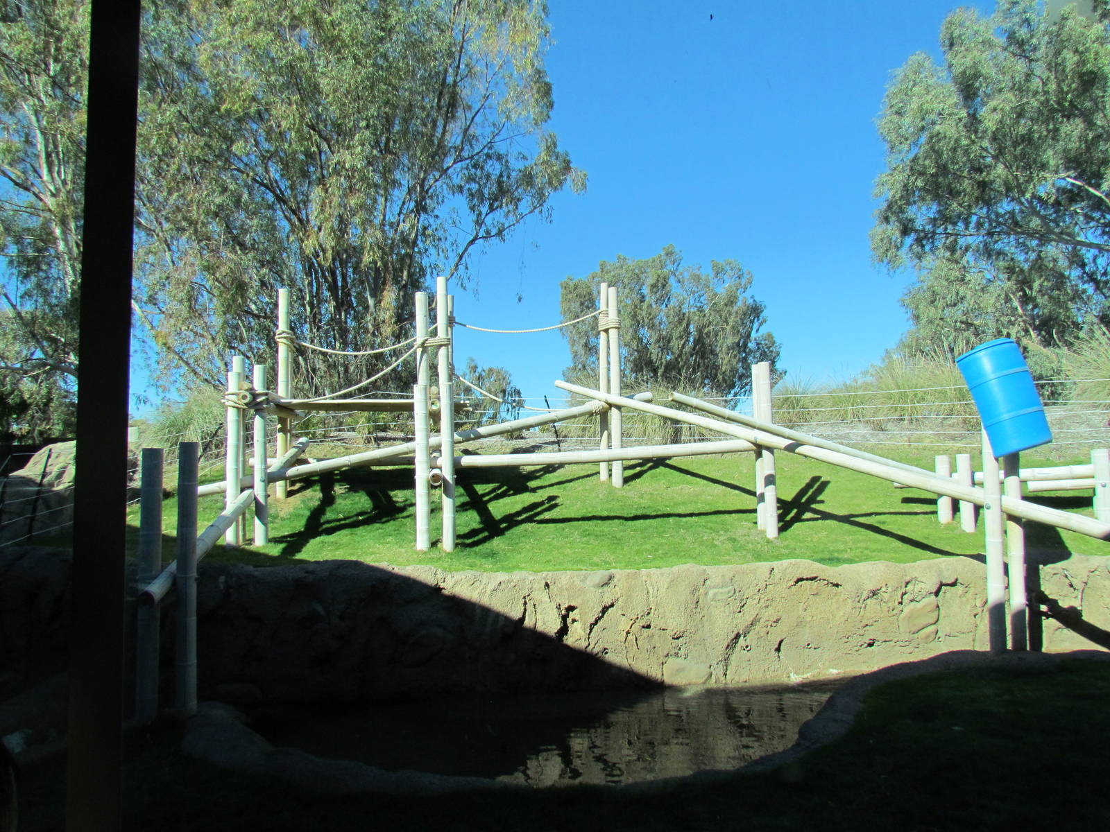Orang Hutan: People of the Forest