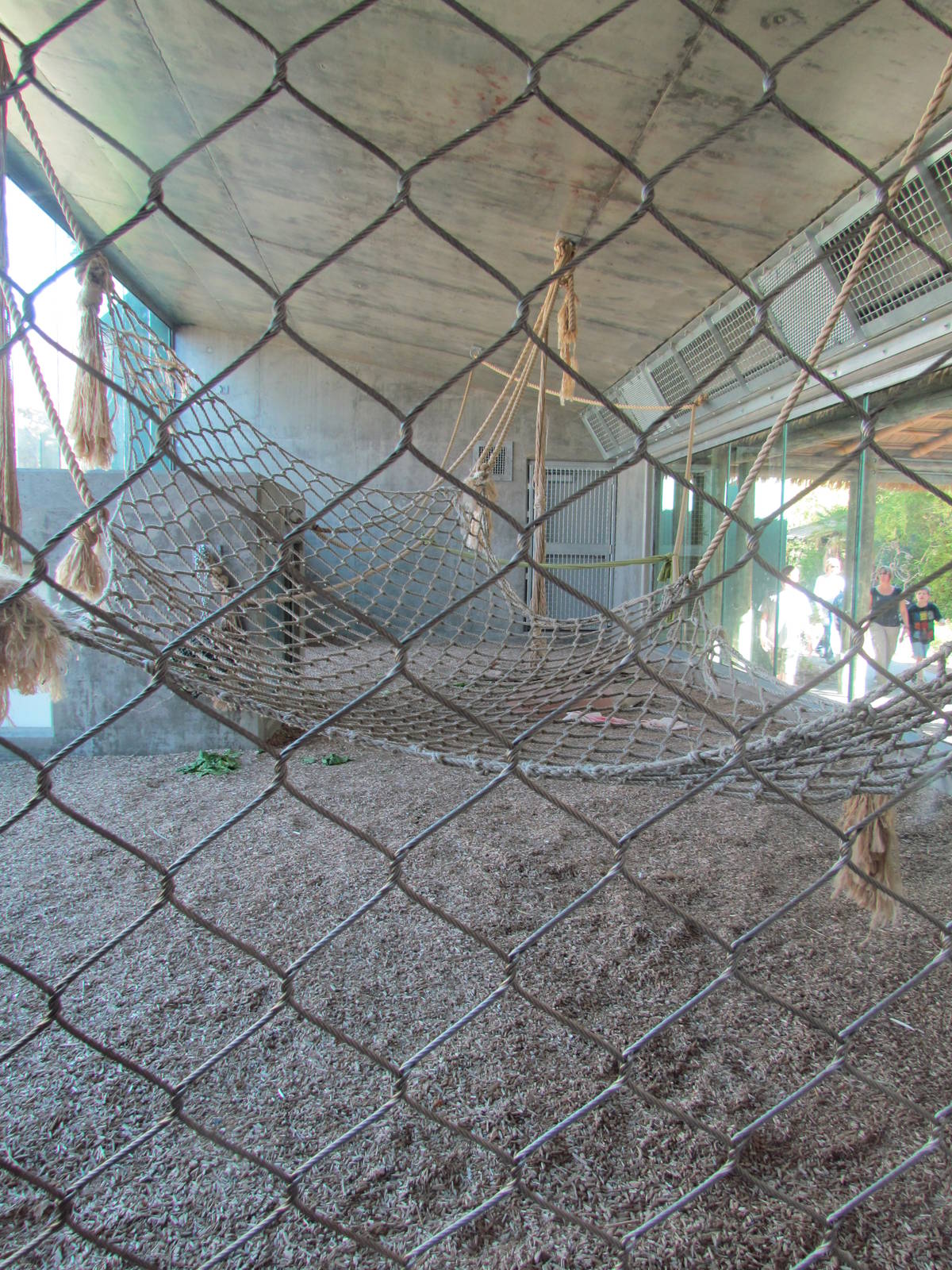 Orang Hutan: People of the Forest