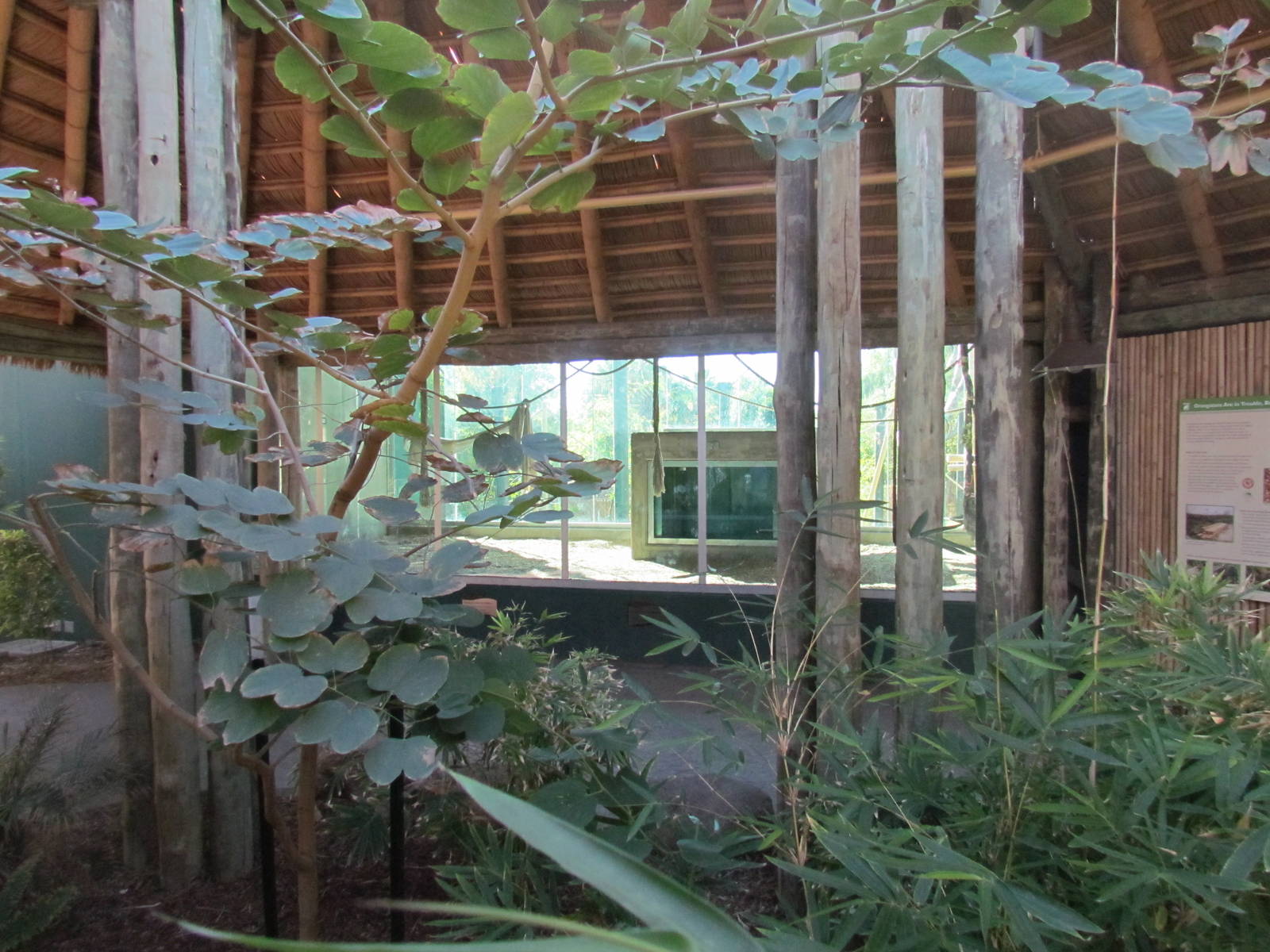 Orang Hutan: People of the Forest