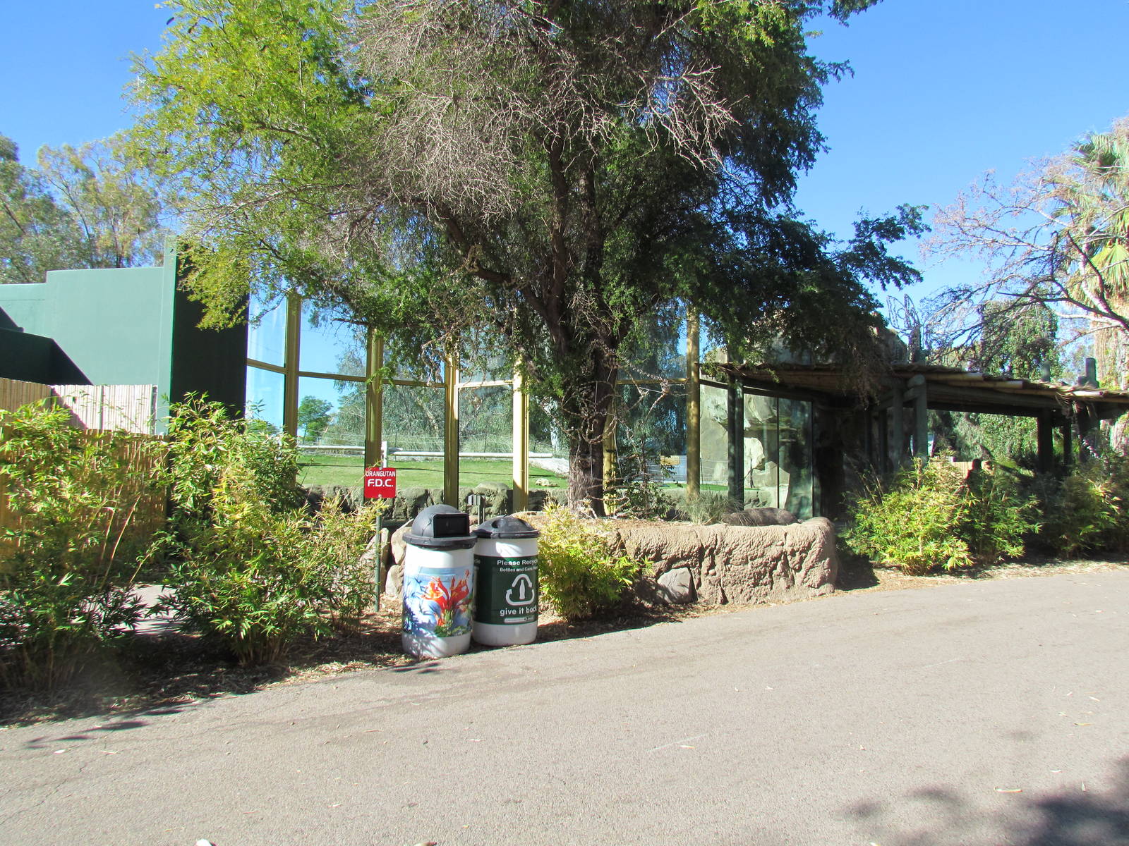 Orang Hutan: People of the Forest