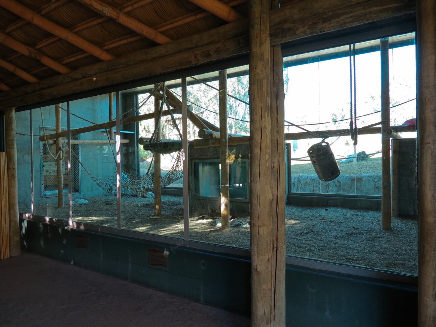 Orang-Hutan - Right Exhibit Indoor View