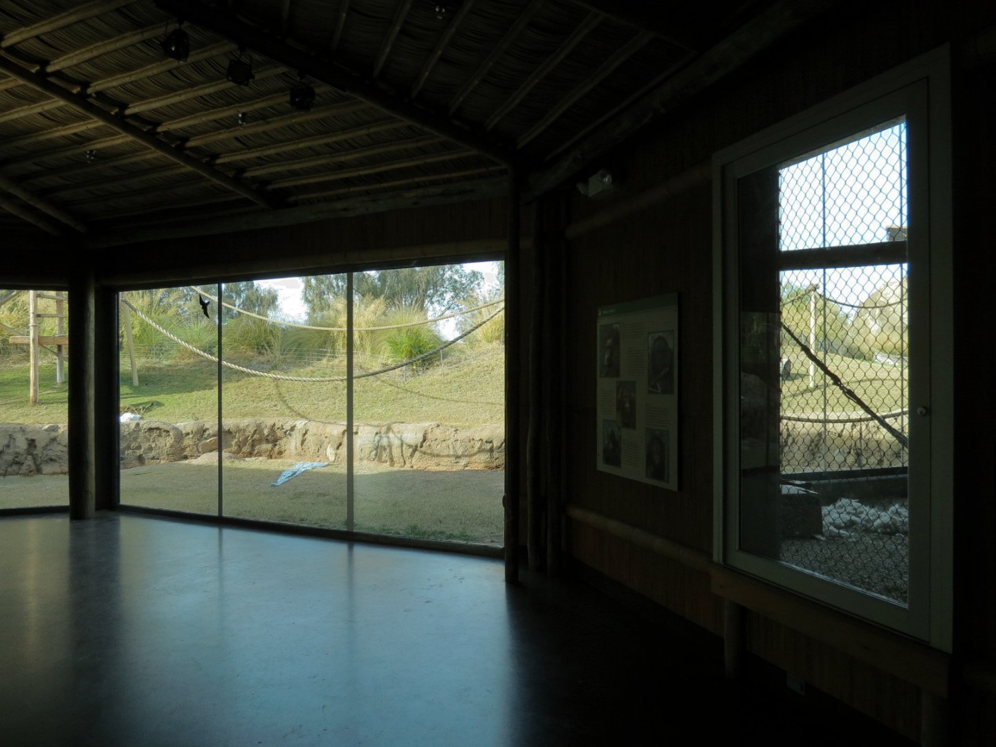 Orang-Hutan - Right Exhibit Indoor Viewing Area