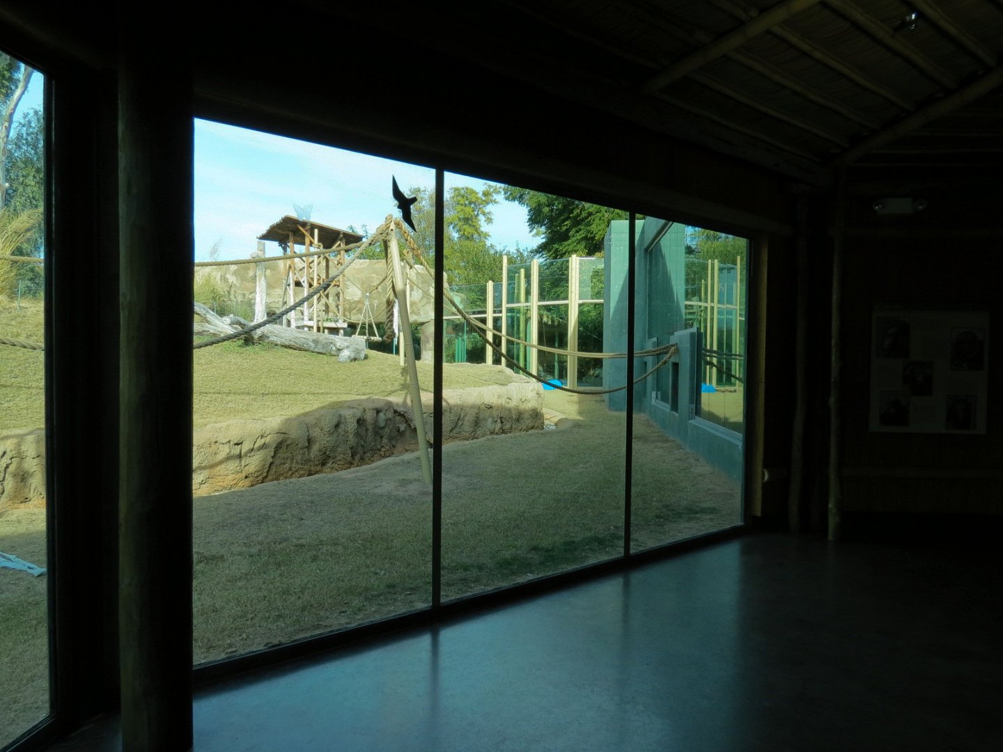 Orang-Hutan - Right Exhibit Indoor Viewing Area