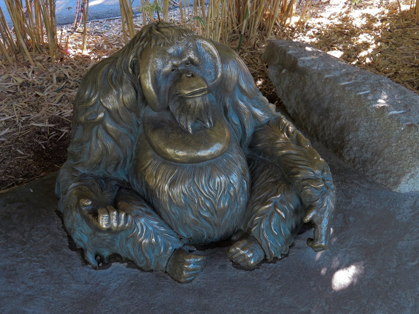 Orang-Hutan - Right Exhibit Outdoor Viewing Area - Statue