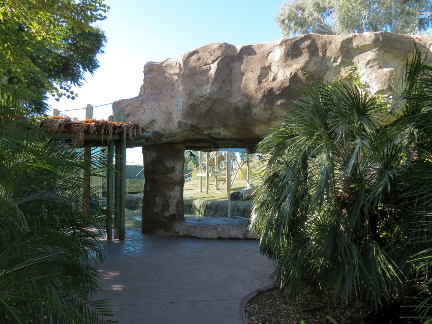 Orang-Hutan - Right Exhibit Outdoor Viewing Area