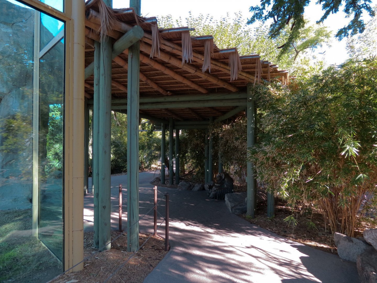 Orang-Hutan - Right Exhibit Outdoor Viewing Area