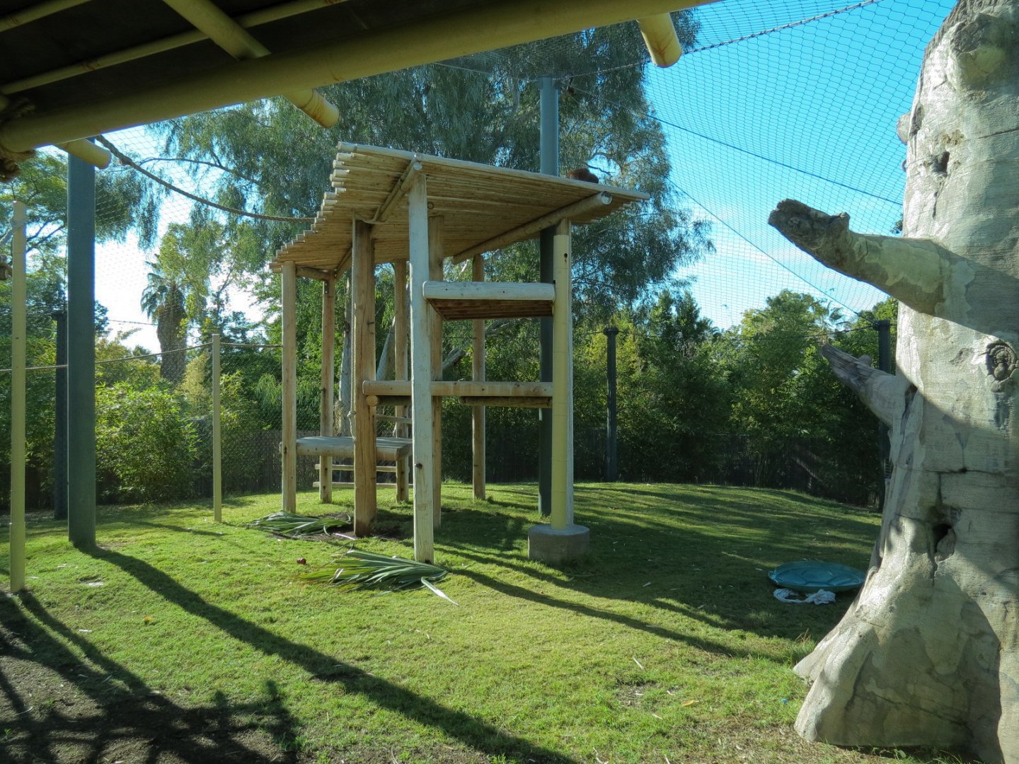 Orang-Hutan - Second Exhibit Indoor View