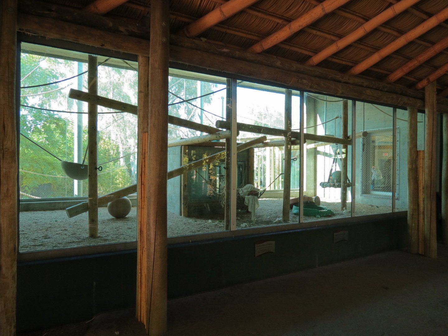 Orang-Hutan - Second Exhibit Indoor View