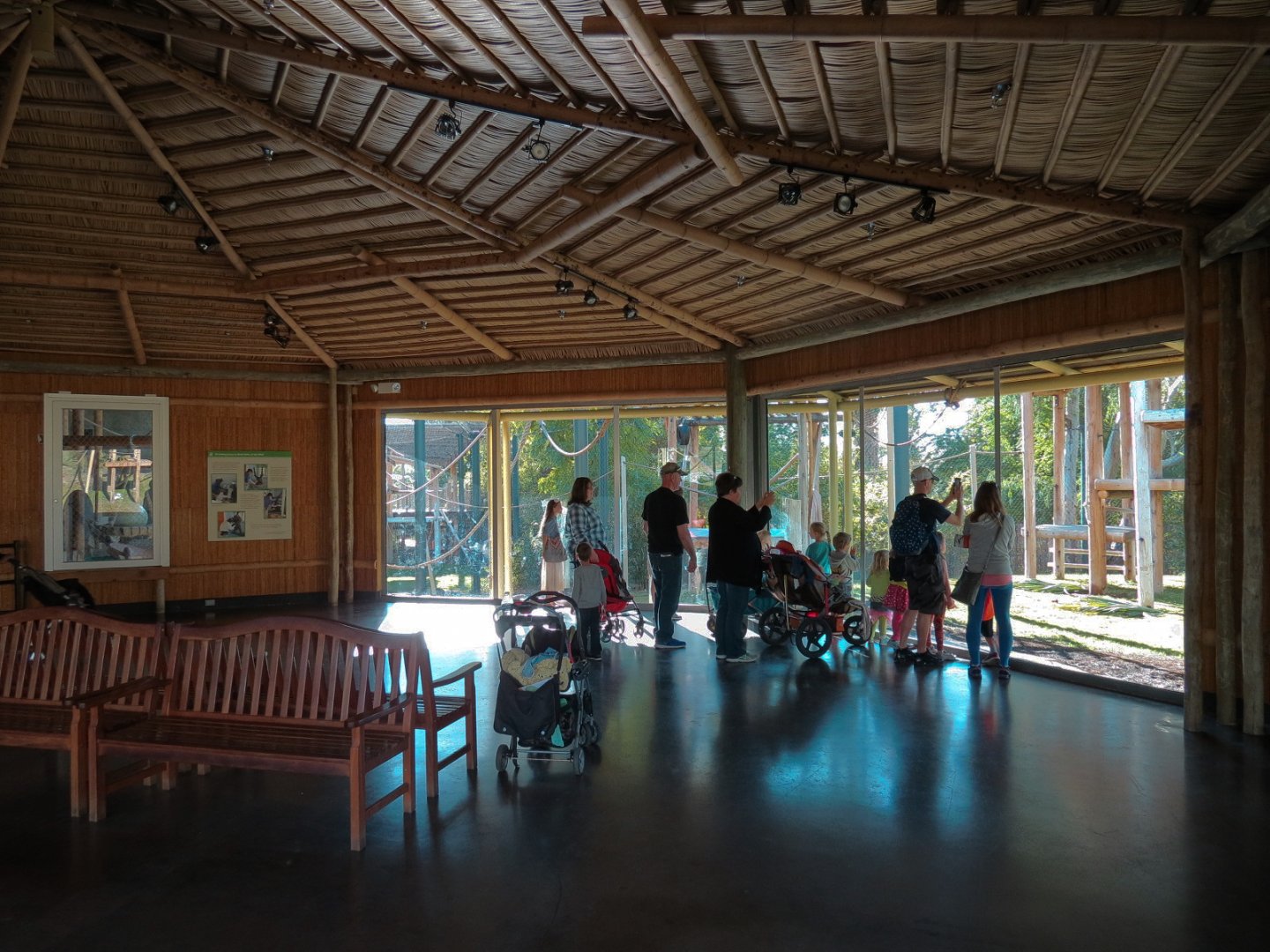 Orang-Hutan - Second Exhibit Indoor Viewing Area