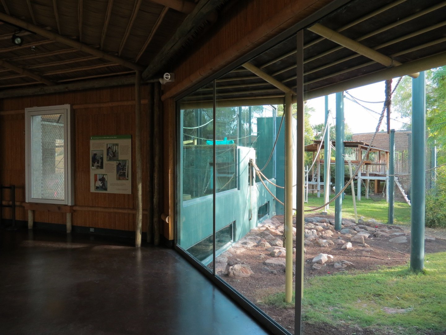 Orang-Hutan - Second Exhibit Indoor Viewing Area