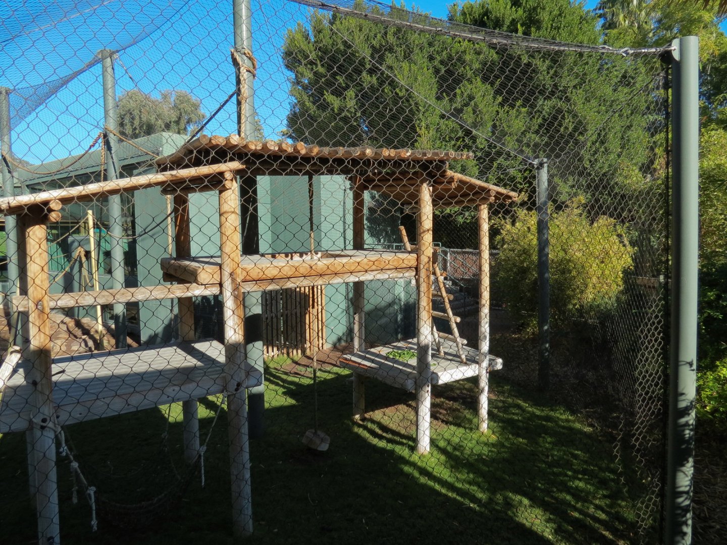 Orang-Hutan - Second Exhibit Outdoor View