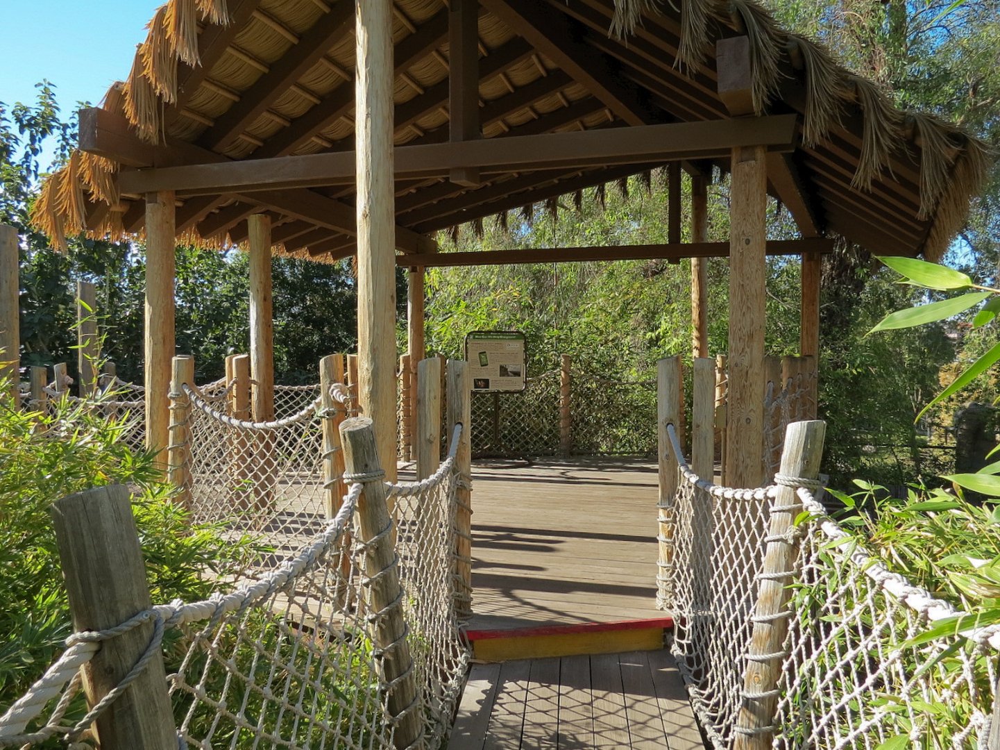 Orang-Hutan - Second Exhibit Outdoor Viewing Area