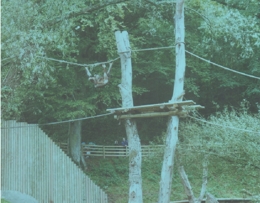 Orang Island Then and Now #1. 1997