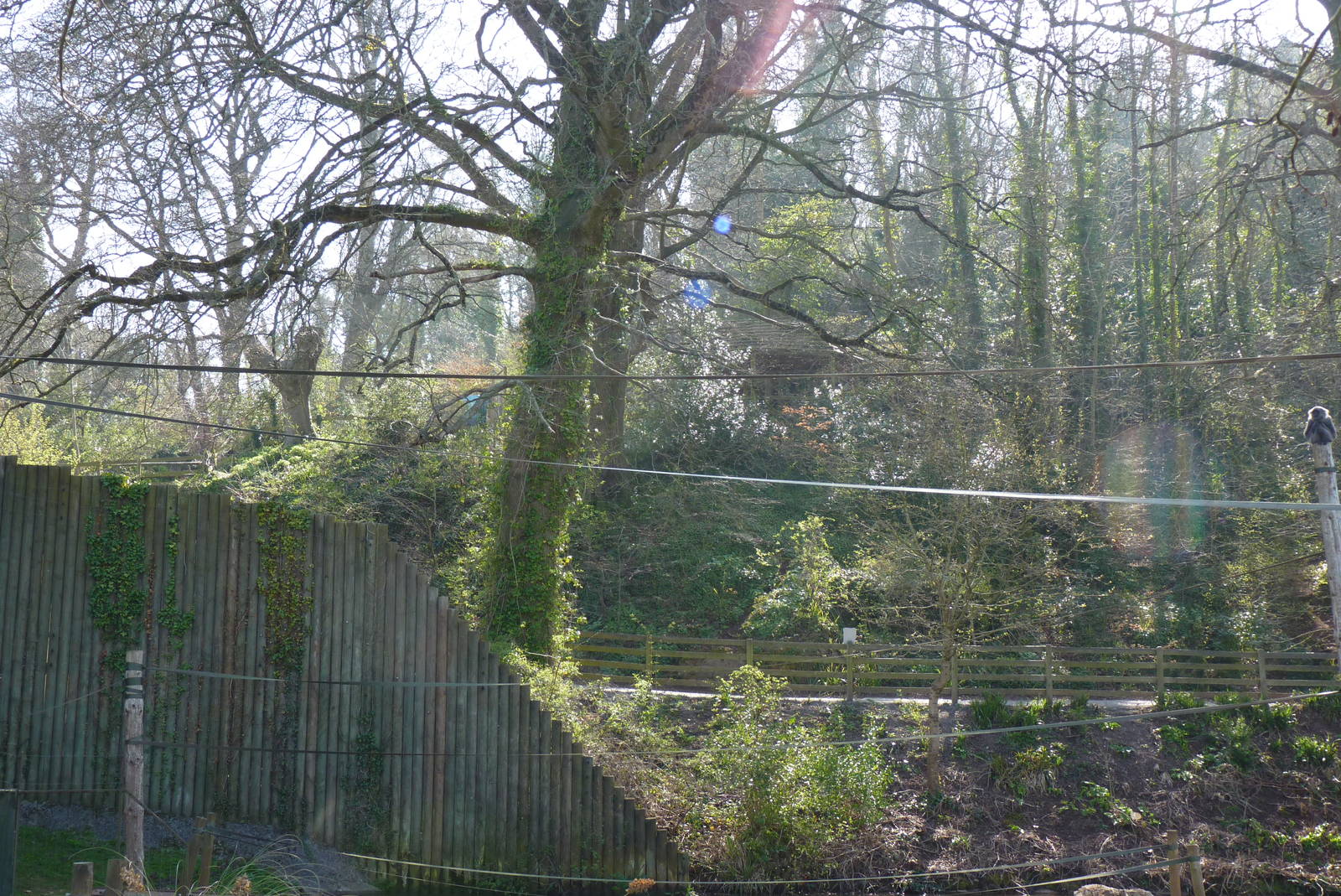 Orang Island Then and Now #2. April 2015