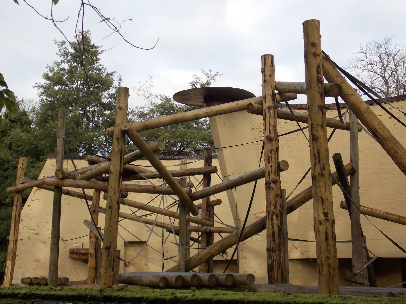 Orang outdoor area (side view)