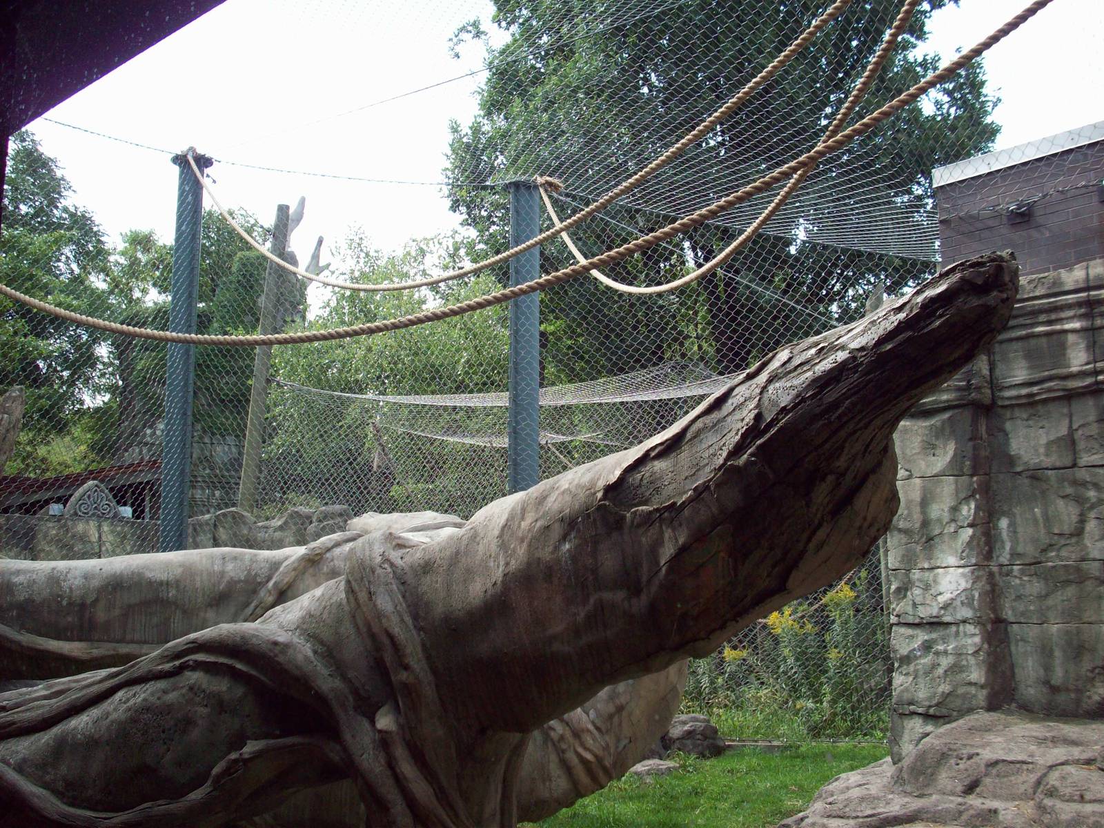 Orang Outdoor Exhibit