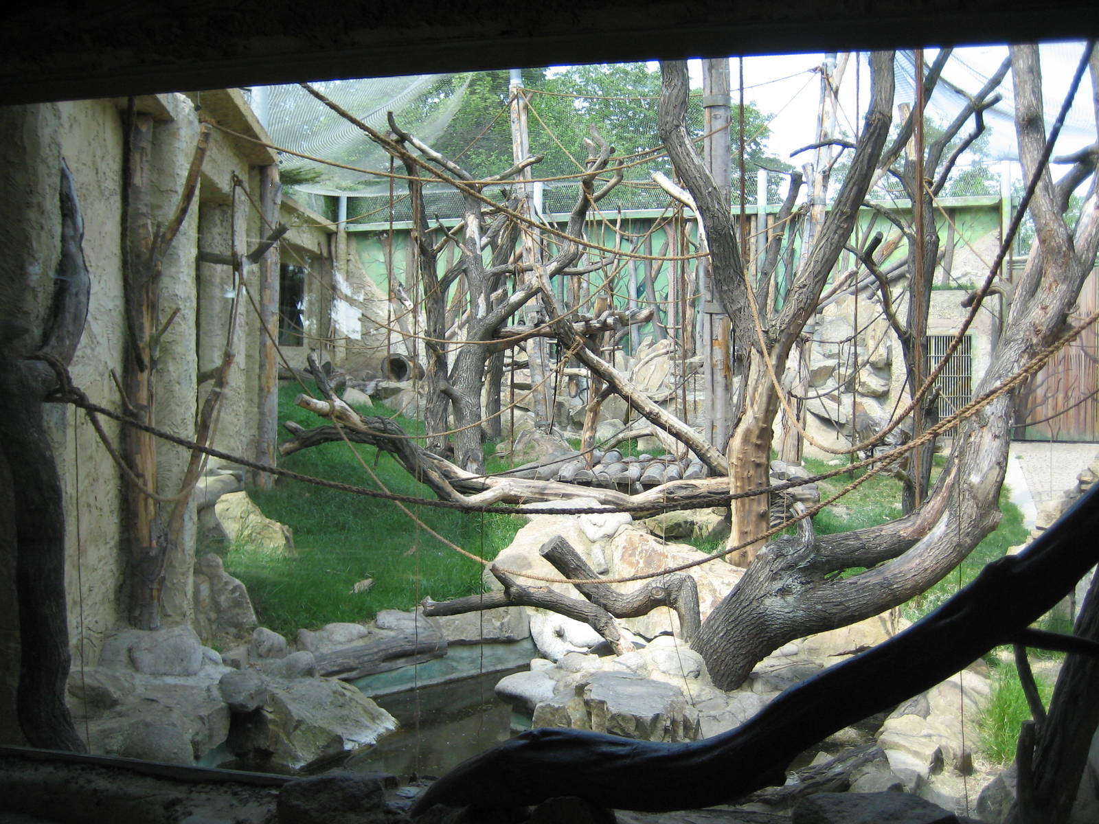 Orang Outdoor Exhibit