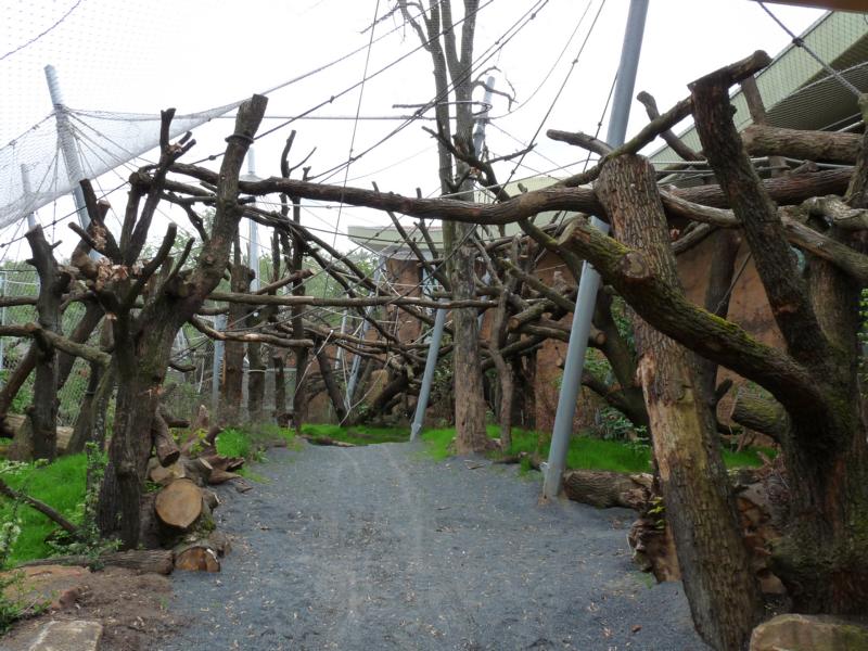 Orang Outdoors,detail