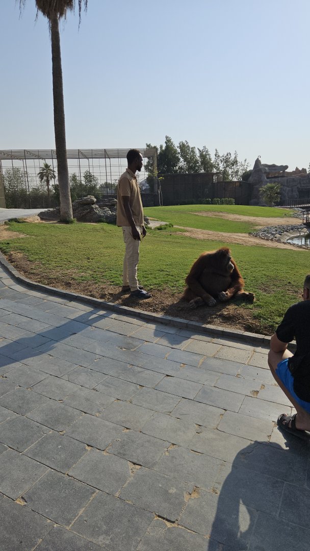 Orang, The Zoo Wild Life Park Umm Al Quwain
