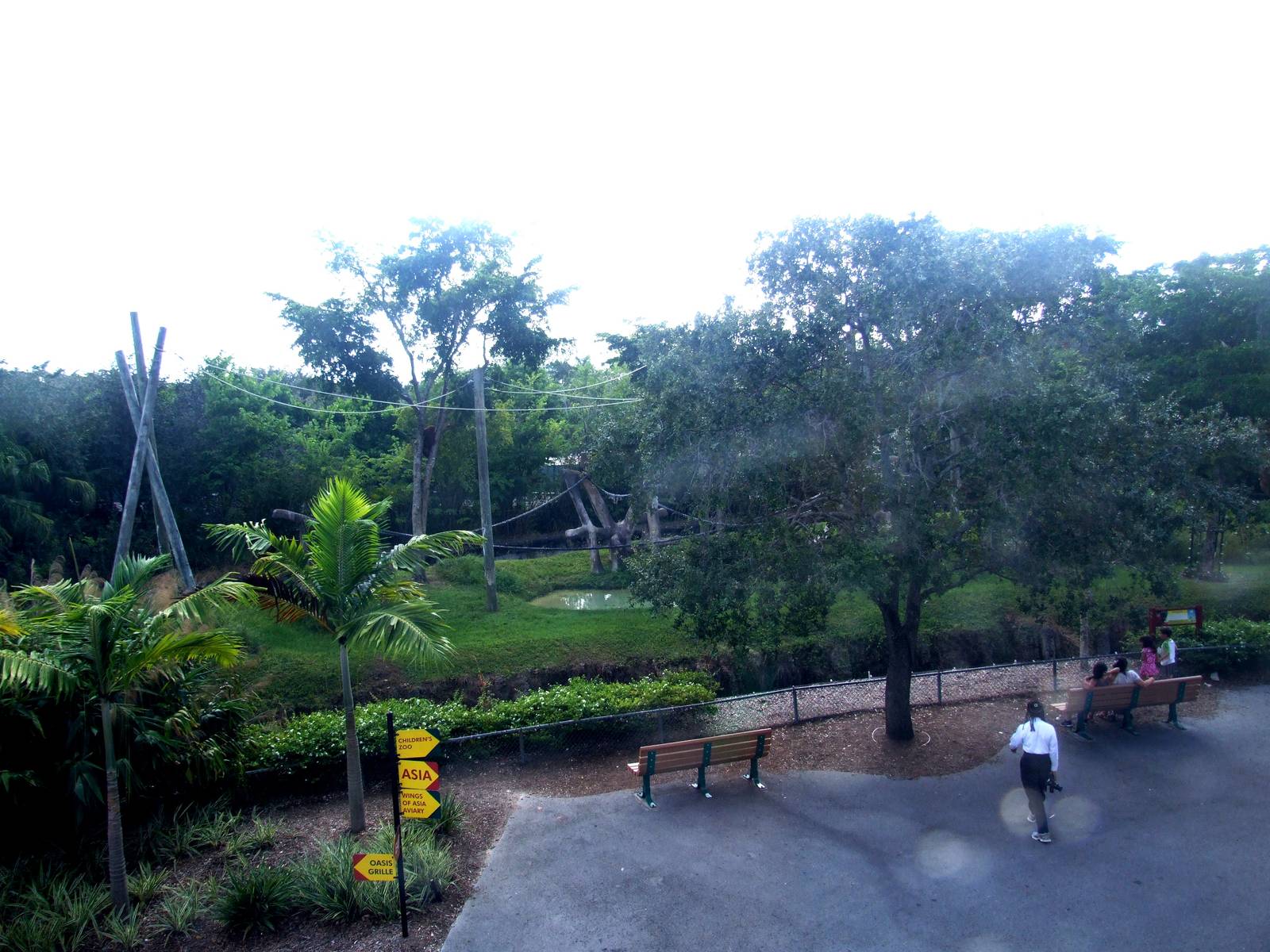 Orang Utan and Gibbon Enclosure at Miami, 12/10/13