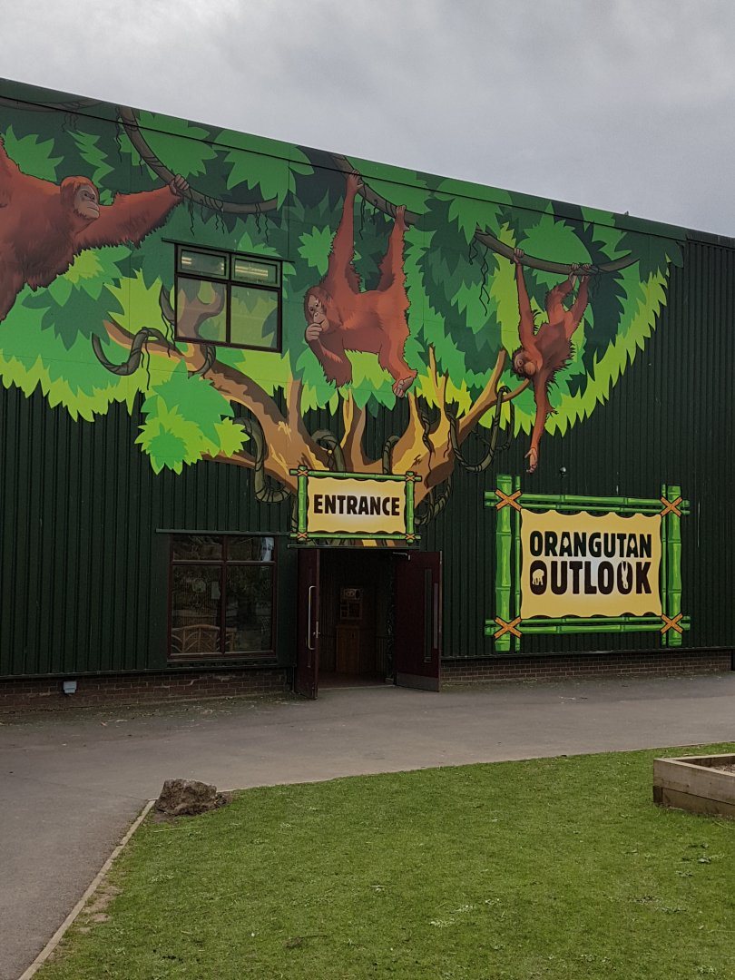 Orang utan building