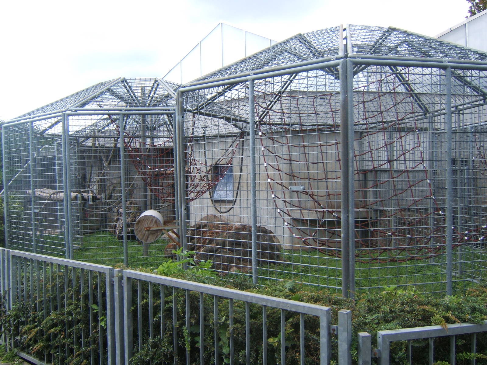 Orang-utan cages