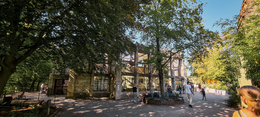 Orang-utan complex in Ankor Wat