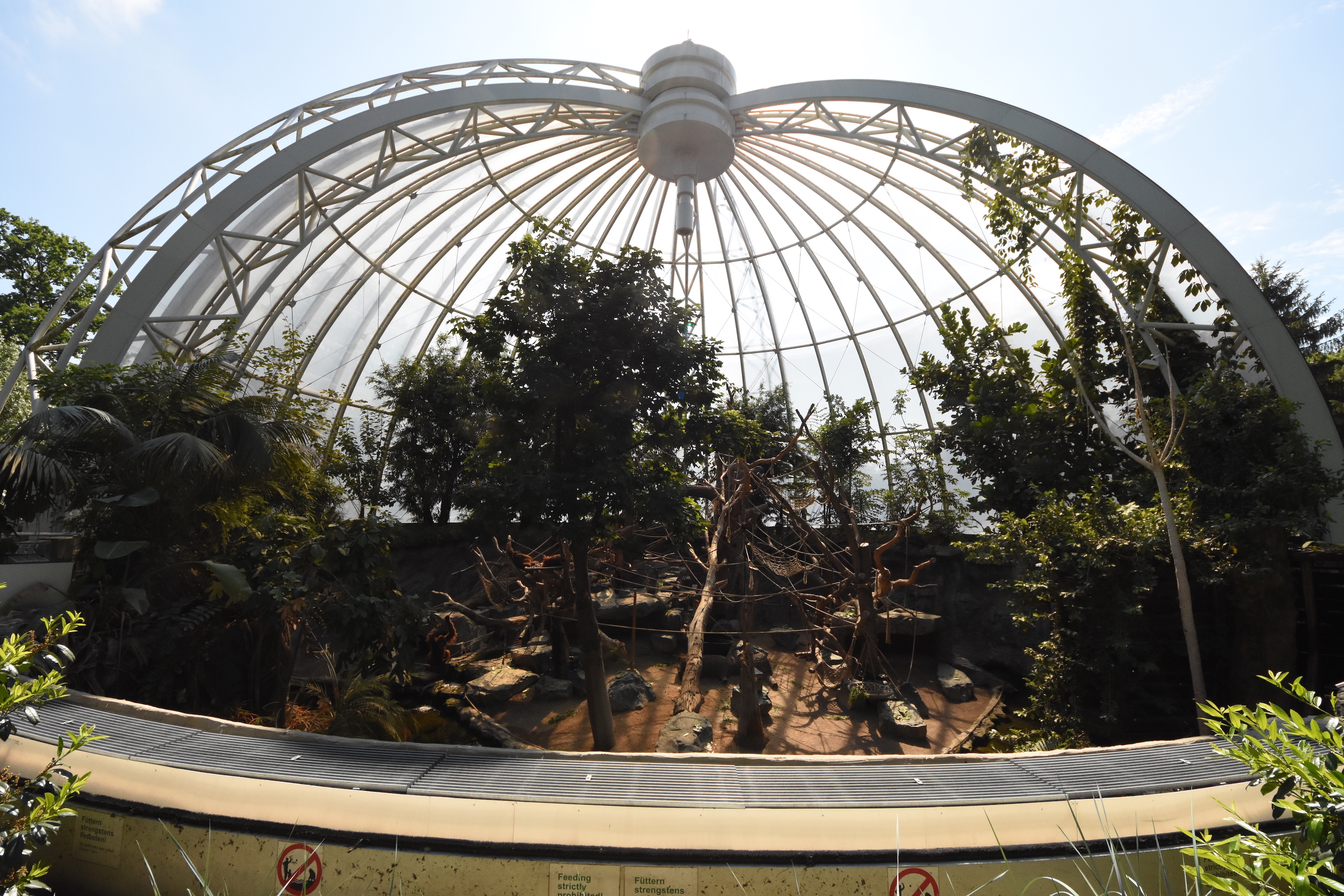 Orang-utan dome
