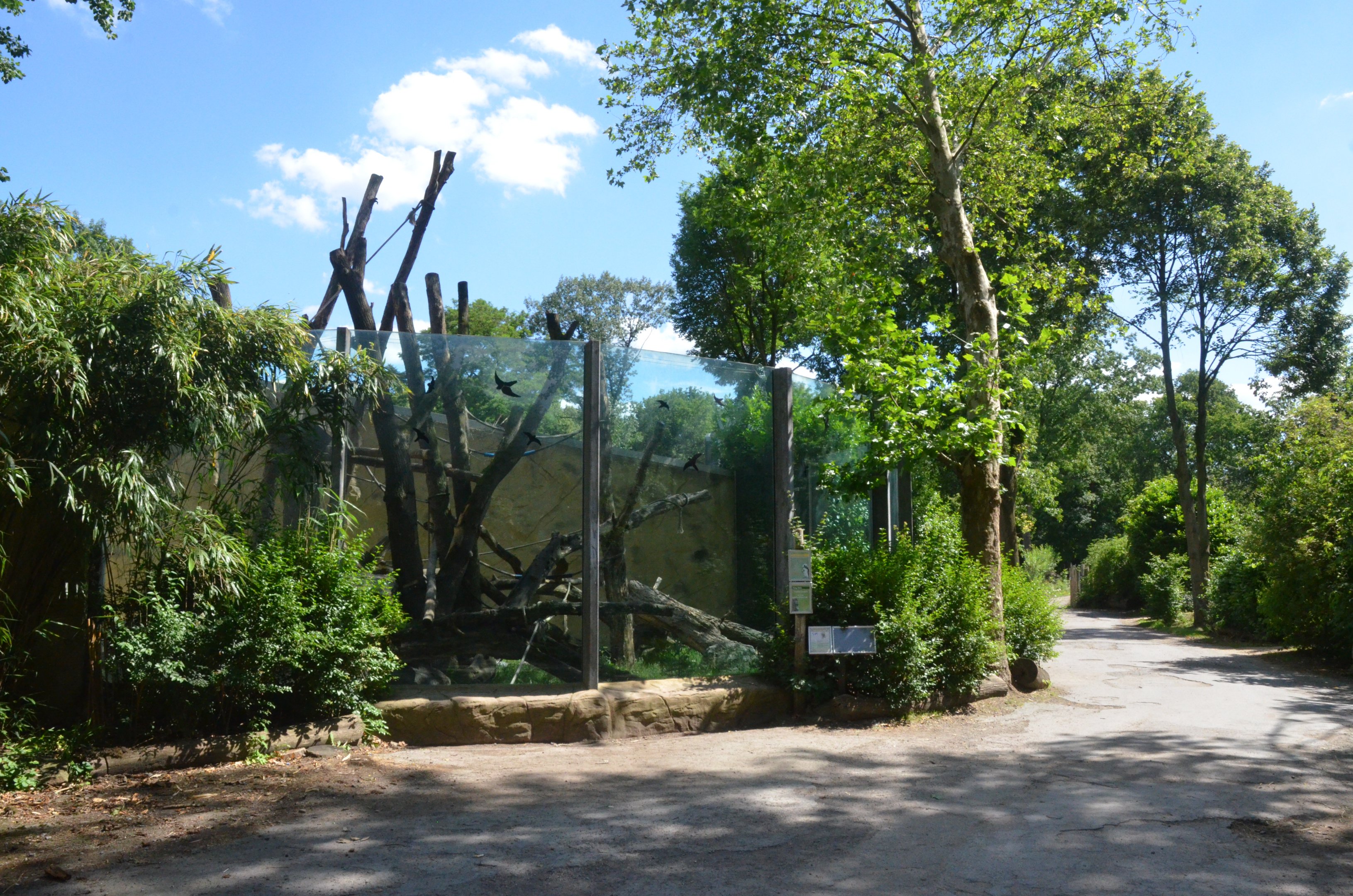 Orang-utan Enclosure in Aequatorium at Duisburg, 17/06/19